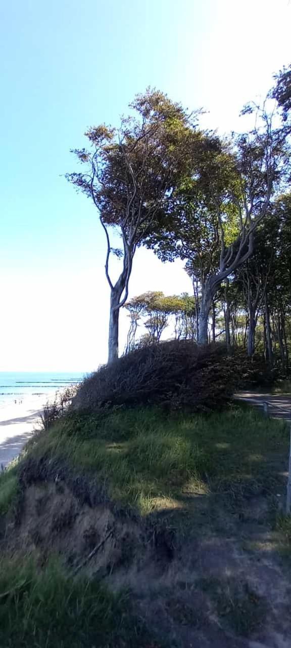 Familienurlaub Mit Hund An Der Ostsee Admannshagen-Bargeshagen エクステリア 写真