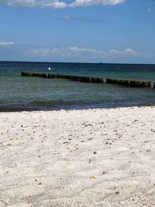 Familienurlaub Mit Hund An Der Ostsee Admannshagen-Bargeshagen エクステリア 写真